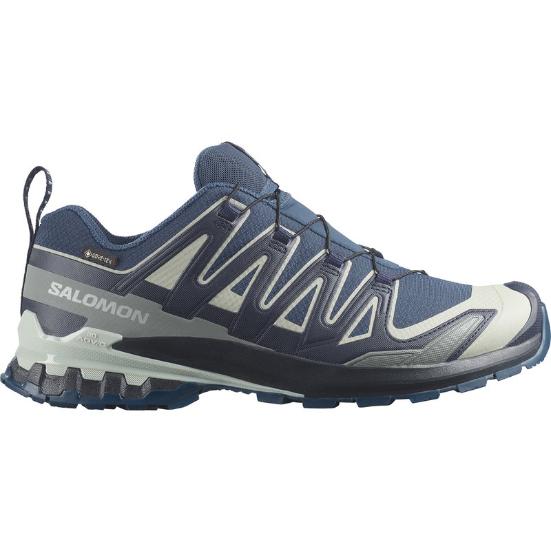 Salomon Herren XA Pro 3D V9 GTX Schuhe