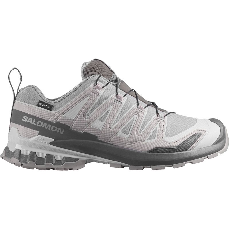 Salomon Herren XA Pro 3D V9 GTX Schuhe