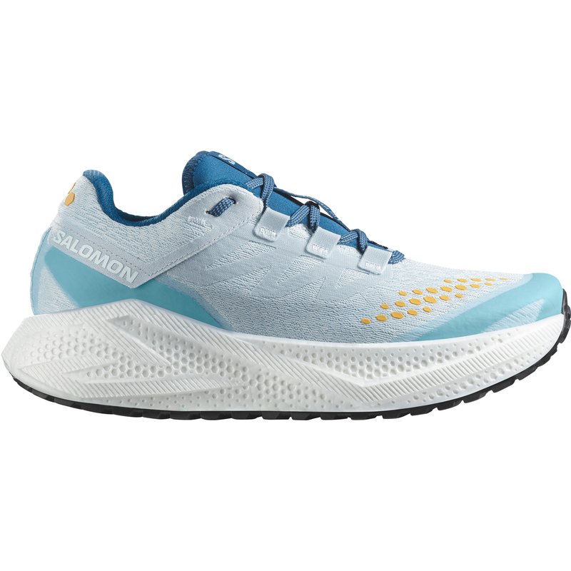 Salomon Herren Aero Glide 3 GRVL Schuhe