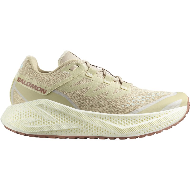 Salomon Herren Aero Glide 3 GRVL Schuhe