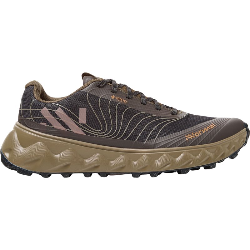 NNormal Tomir 2 GTX Schuhe