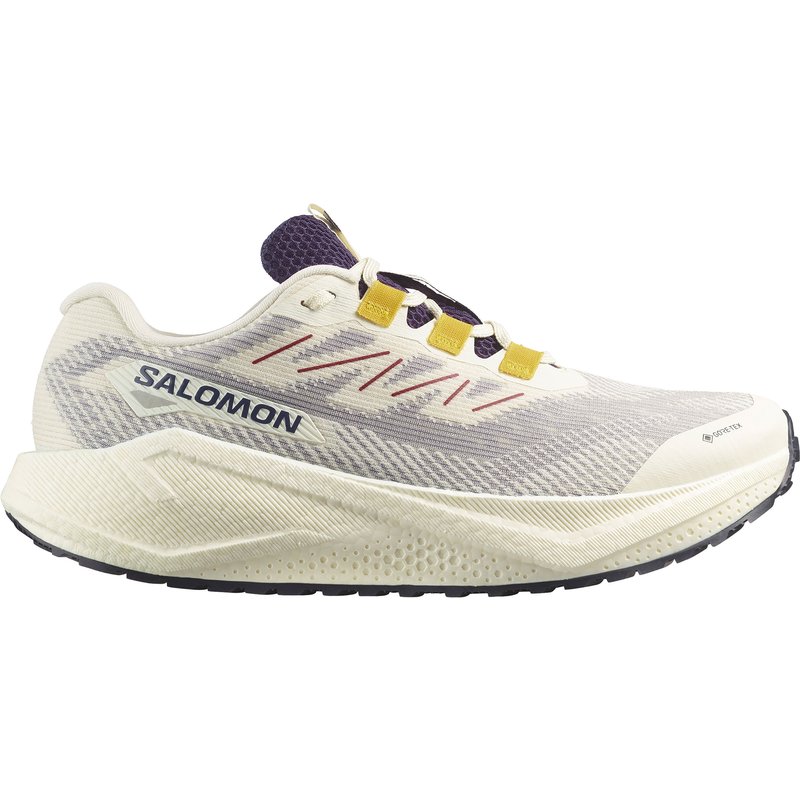 Salomon Herren Aero Blaze 3 GRVL GTX Schuhe