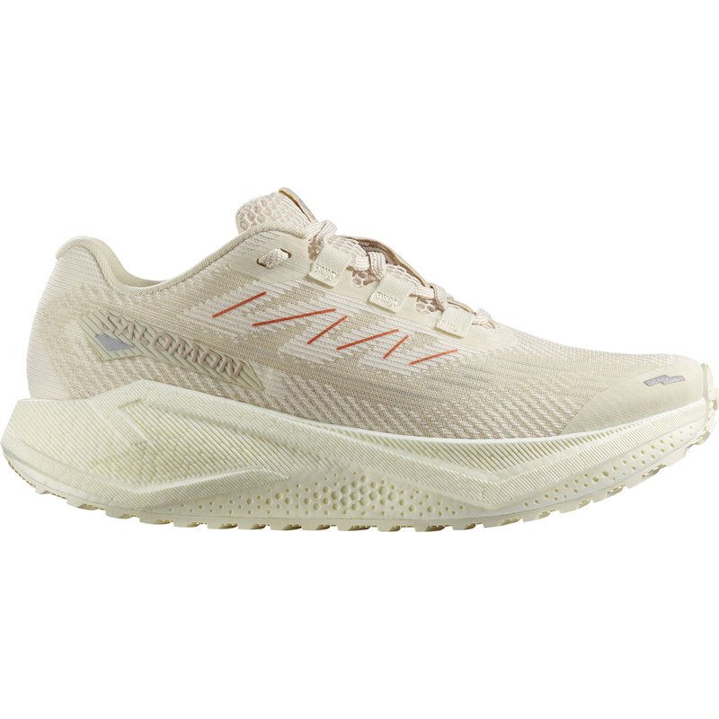 Salomon Damen Aero Blaze 3 GRVL Schuhe