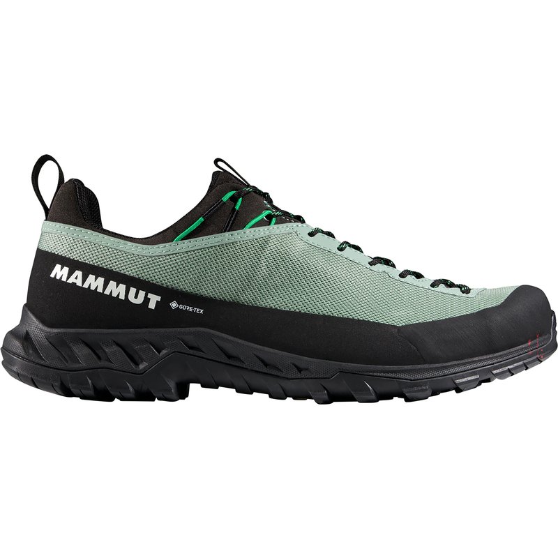 Mammut Herren Alnasca IV Low GTX Schuhe