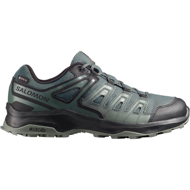 Salomon Herren Extegra GTX Schuhe
