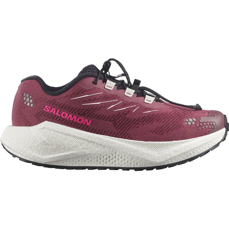 Salomon Damen Aero Blaze 4 GRVL Schuhe