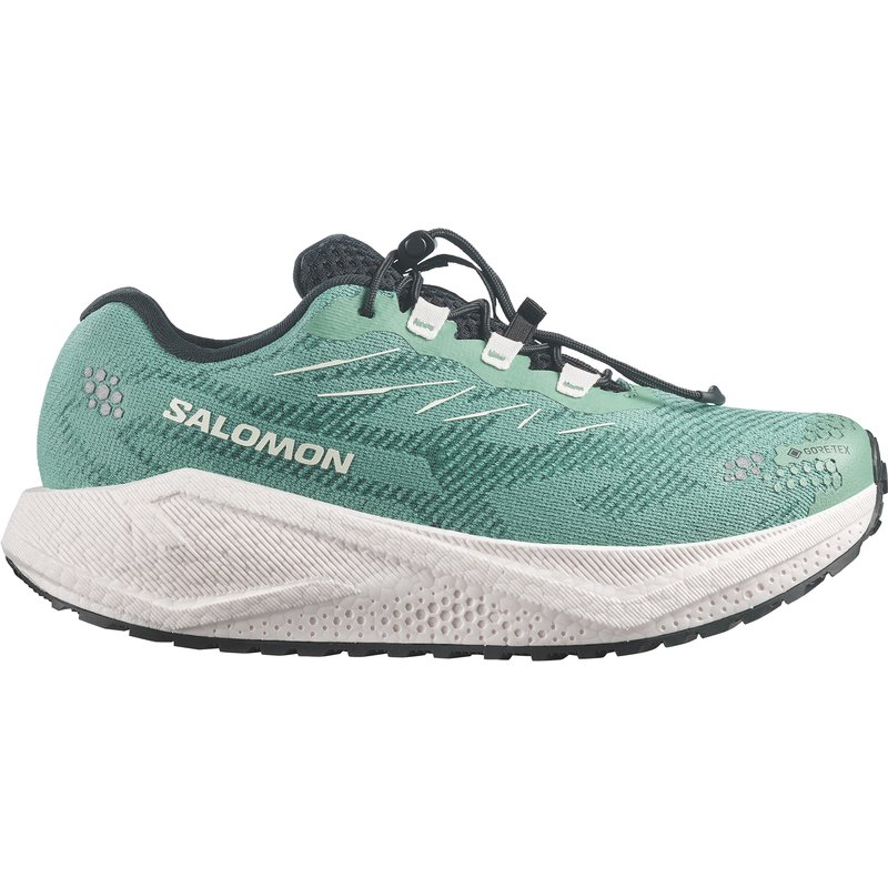 Salomon Damen Aero Blaze 4 GRVL GTX Schuhe