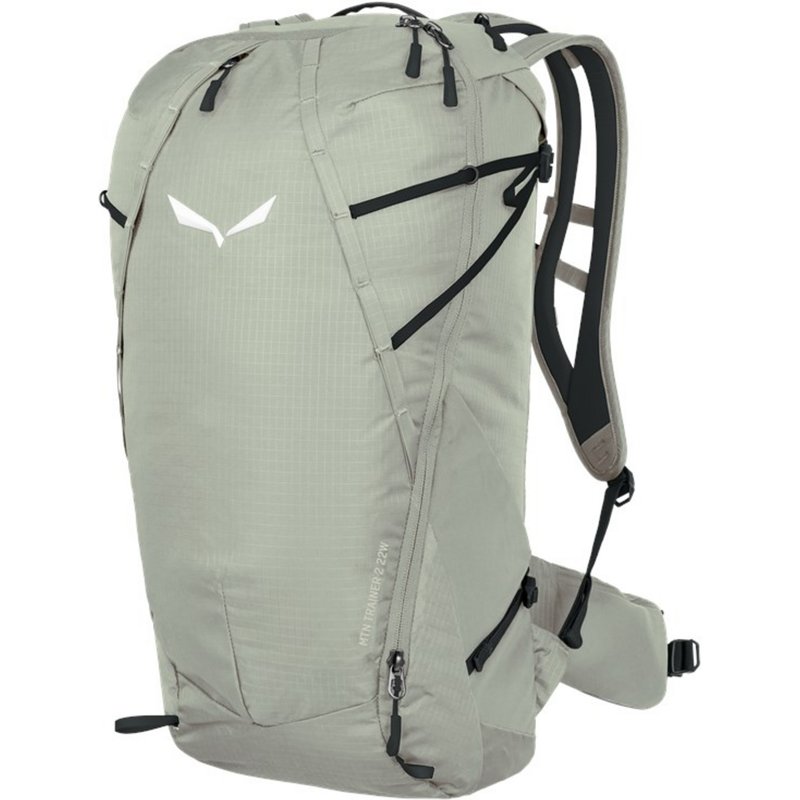 Salewa MTN Trainer 2 22 Rucksack