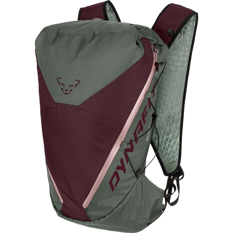 Dynafit Traverse 22 Rucksack