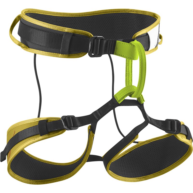 Edelrid Zack Gym Klettergurt