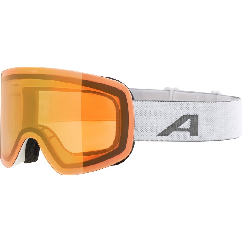 Alpina Penken Q Skibrille