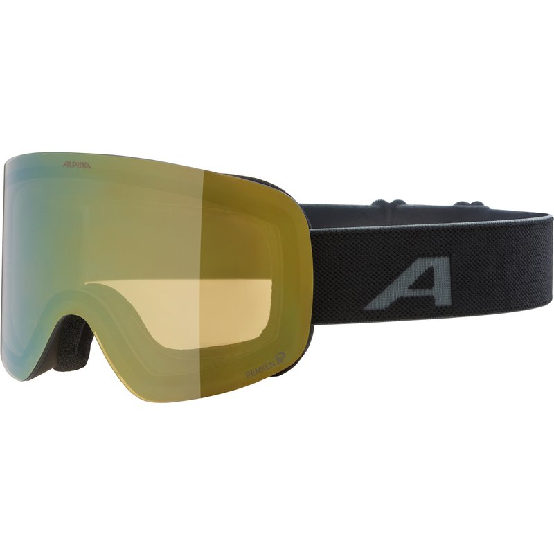 Alpina Penken Q Skibrille