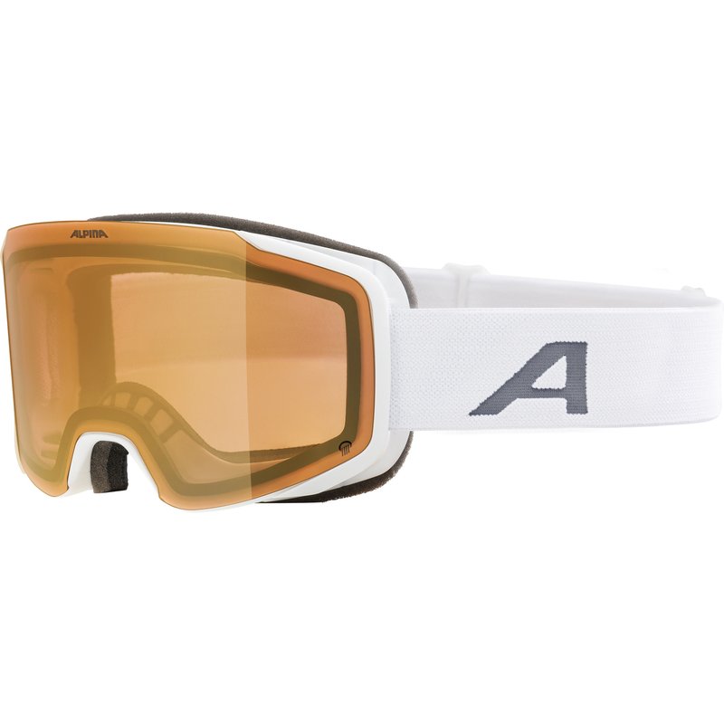 Alpina Taos Q Skibrille