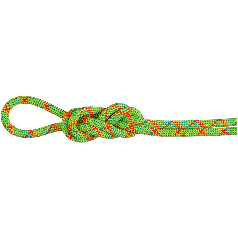 Mammut 8.0 Alpine Core Protect Dry Kletterseil