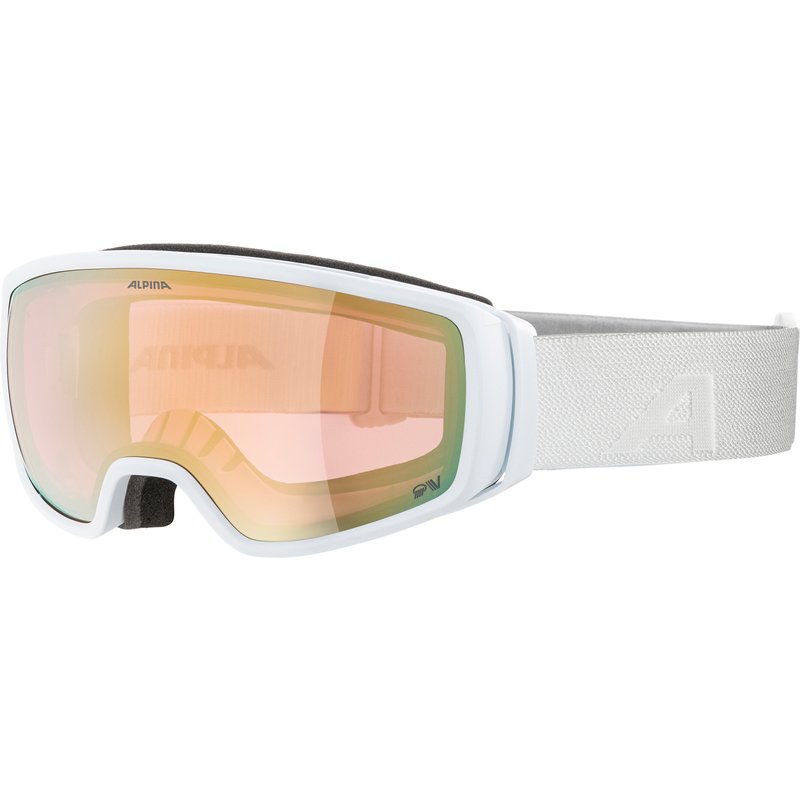 Alpina Double Jack QV Skibrille