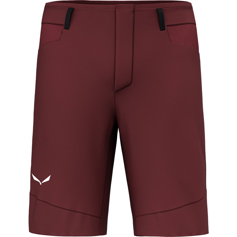 Salewa Herren Agner Dst Shorts