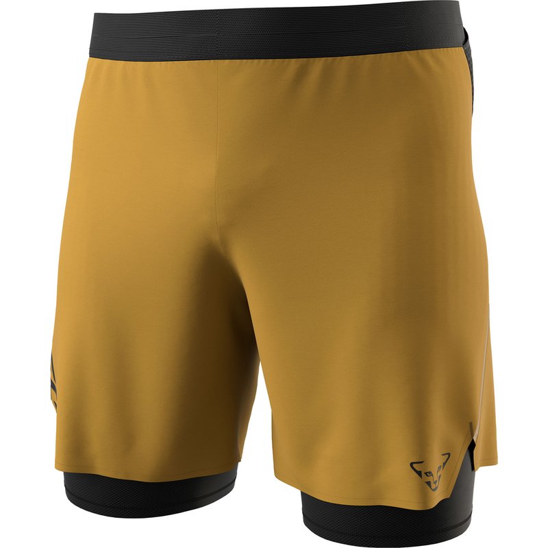 Dynafit Herren Alpine Pro 2/1 Shorts