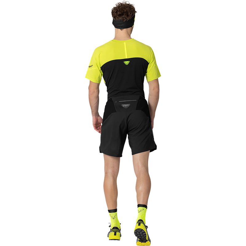 Dynafit Herren Alpine Pro 2/1 Shorts