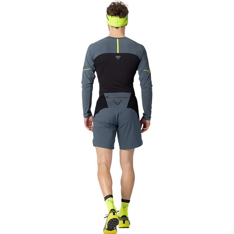 Dynafit Herren Alpine Pro 2/1 Shorts