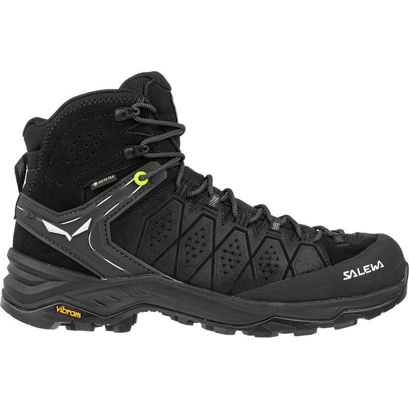 Salewa Herren Alp Trainer 2 Mid GTX Schuhe