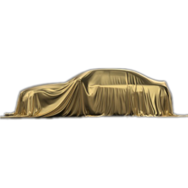 NELSON - MYSTERY CAR - PETROL/DIESEL/EV or similar (Special)