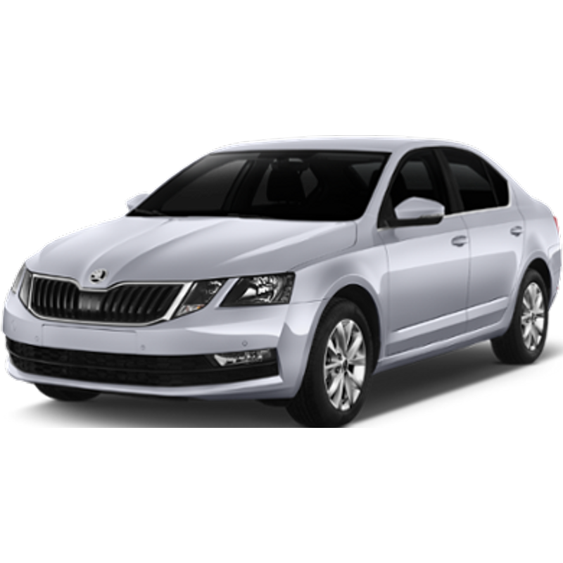 VILNIUS - SKODA OCTAVIA 1.2 MAN or similar (Intermediate)