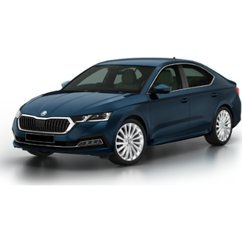 TALLINN - SKODA OCTAVIA 1.0 AUT or similar (Intermediate)