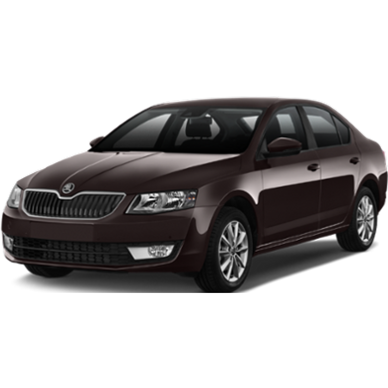 TUNIS - SKODA OCTAVIA 1.6 or similar (Intermediate)