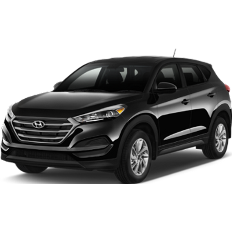 CAROLINA - HYUNDAI TUCSON 2.0 or similar (Intermediate)