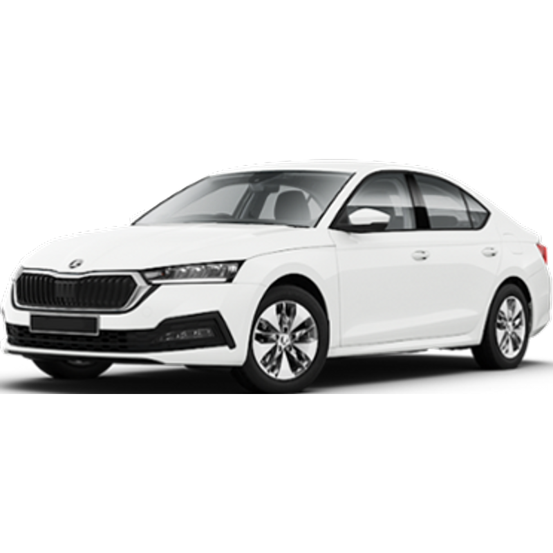 BANJA LUKA - SKODA OCTAVIA 1.6 A8 or similar (Intermediate)