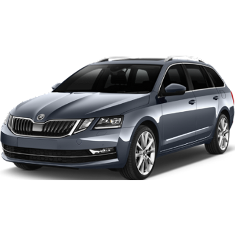 MALMO - SKODA OCTAVIA 1.0 AUT or similar (Intermediate)
