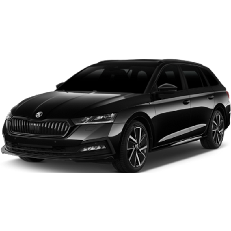 CHATELAINE - SKODA OCTAVIA SW 4X4 or similar (Intermediate)
