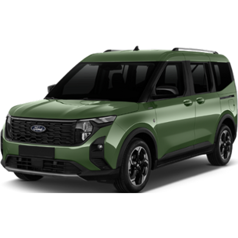 DIYARBAKIR - FORD TOURNEO 1.3 COURIER or similar (Intermediate)