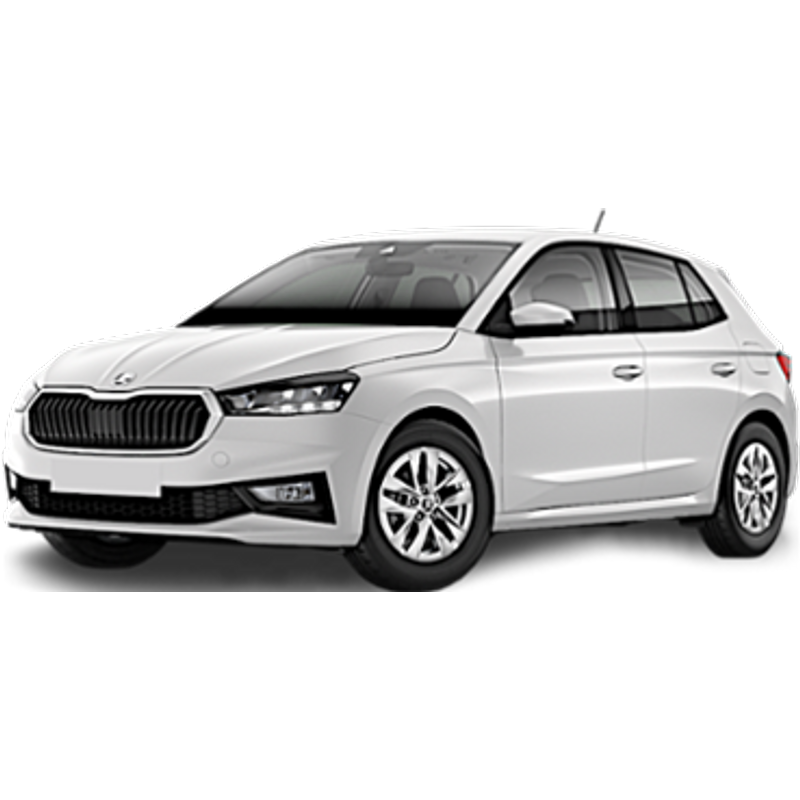 NOVI SAD - SKODA FABIA TSI 1.0 110HP or similar (Economy)
