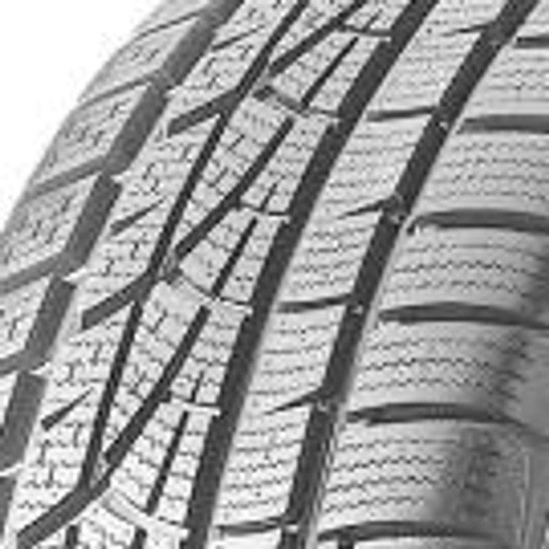 Winter i*cept evo (W310)