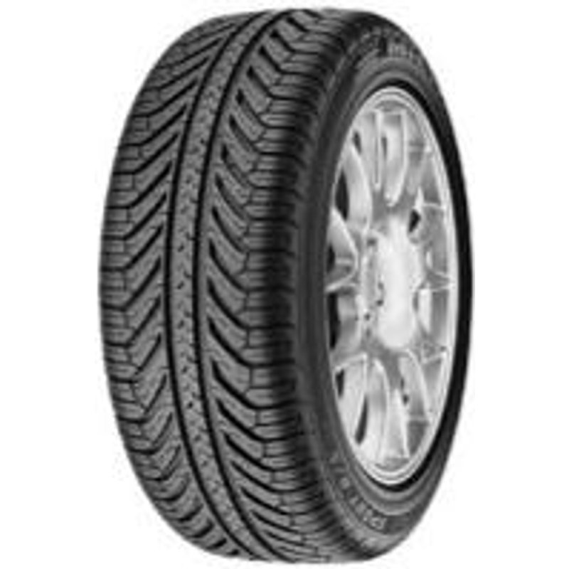 Michelin Pilot Sport A/S Plus ( 255/45 R19 100V, N1 )