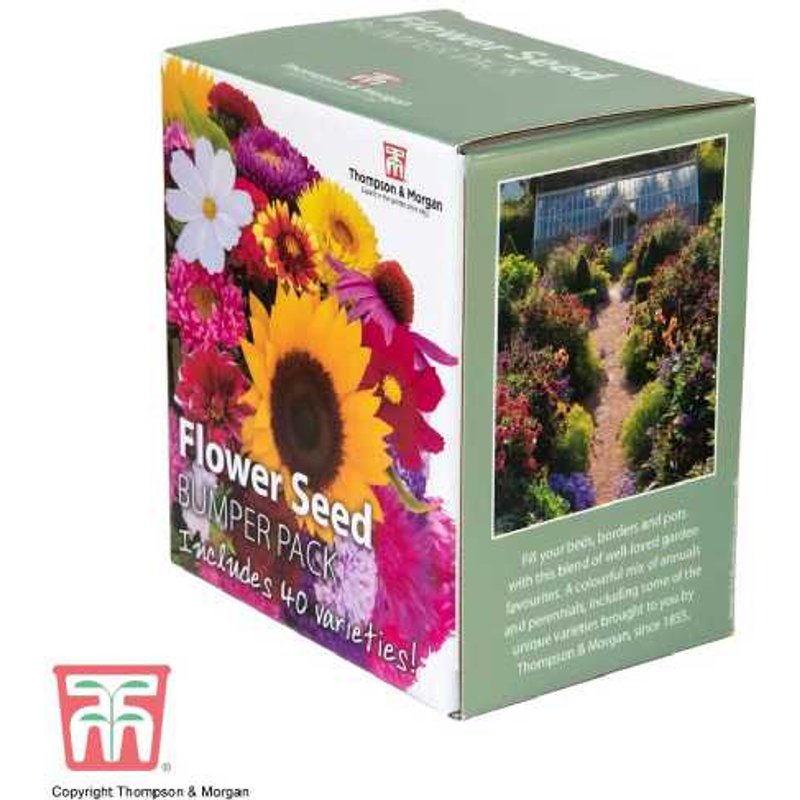 Ultimate Flower Seed Box Bumper Pack - 40+ Varieties, Annuals & Perennials | Wowcher