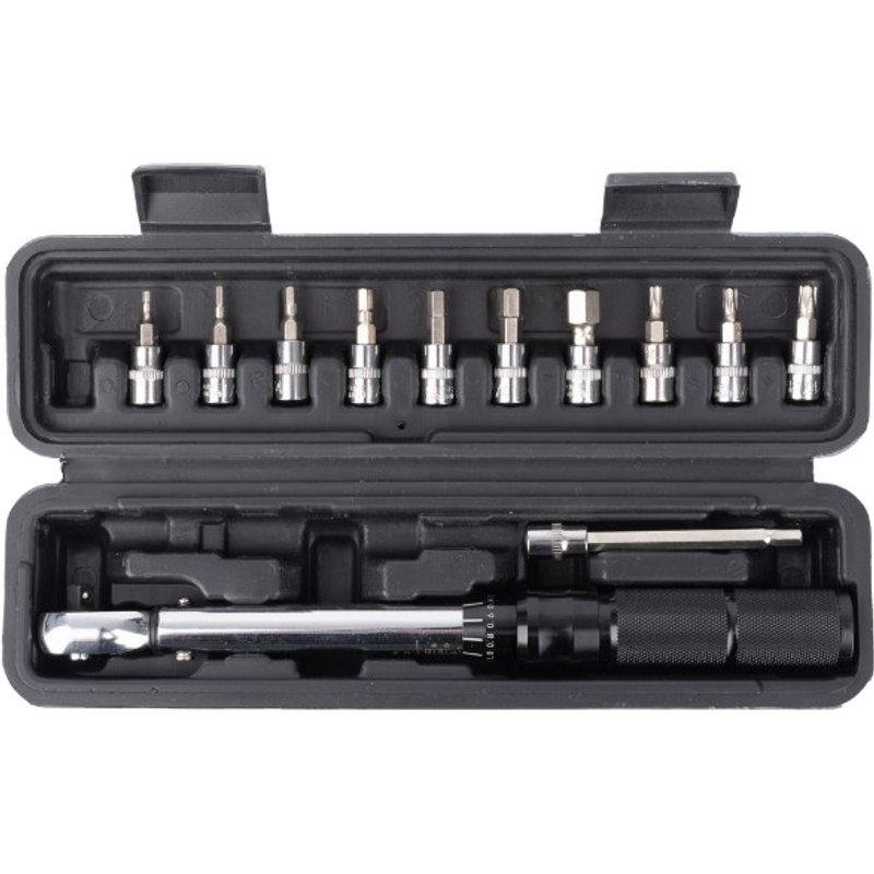 Torque wrench for bike maintenance