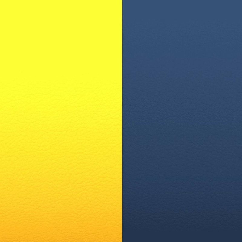 Cuir Bracelet Les Georgettes 702145899A4000 Femme