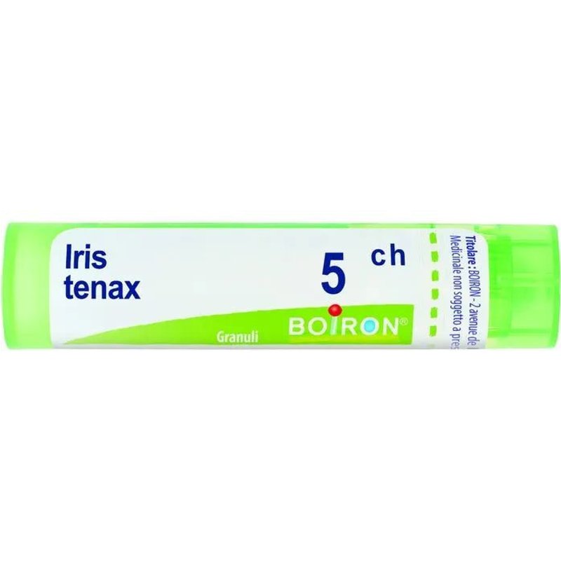 Bo.iris tenax 5ch tubo