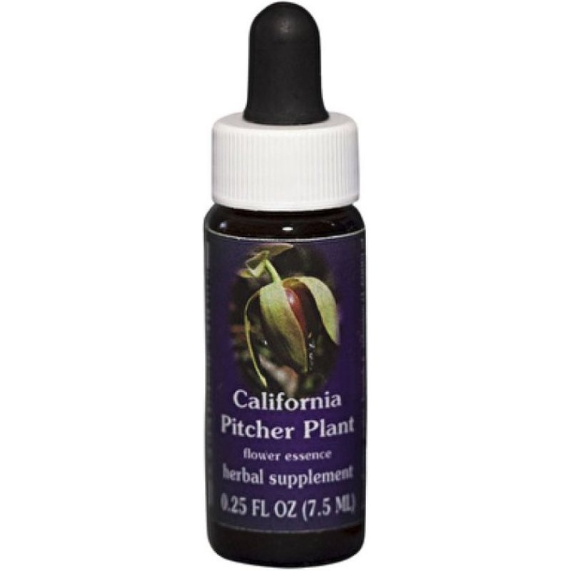 California pitcher 7,4ml calf