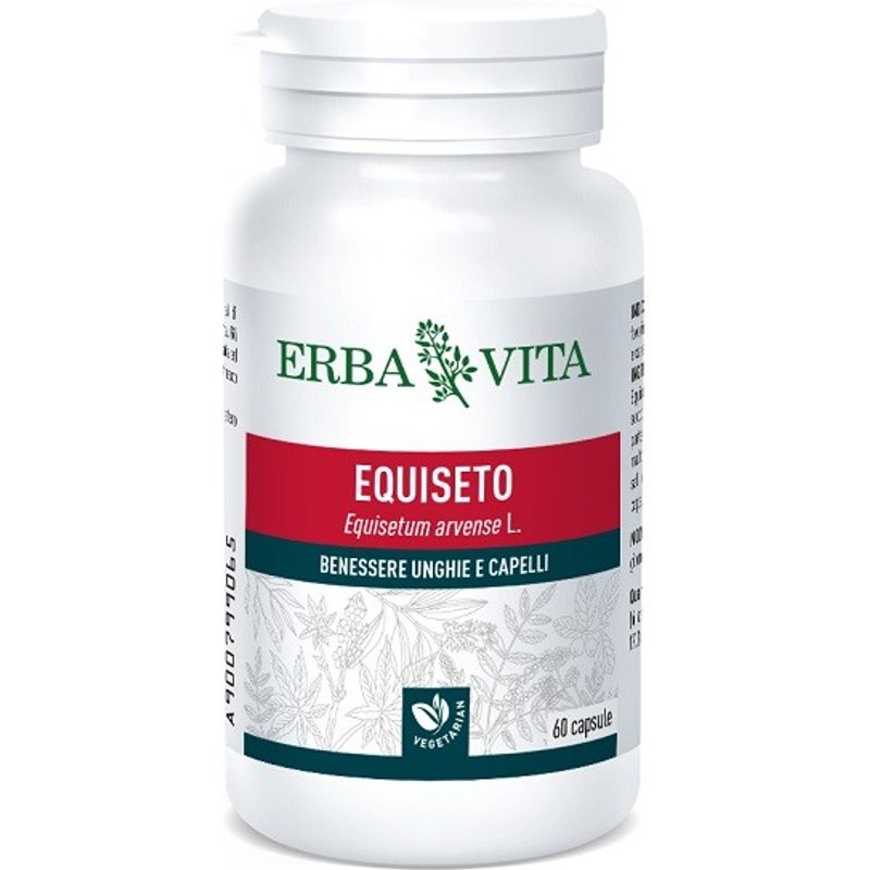 Ladygloria 18 col 140 daino 3