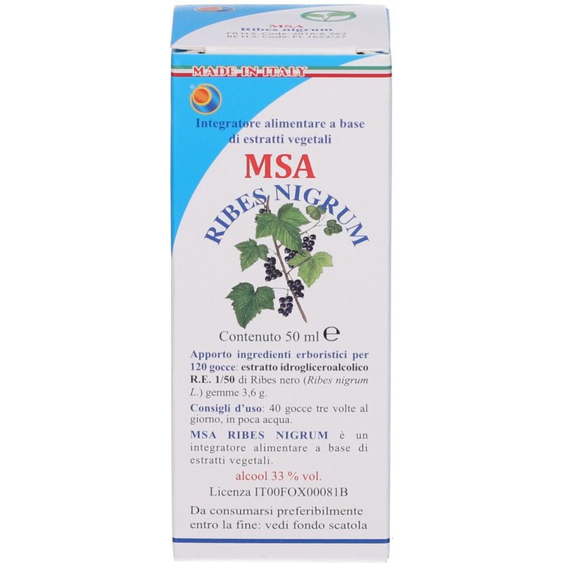 Msa ribes nigrum 50ml
