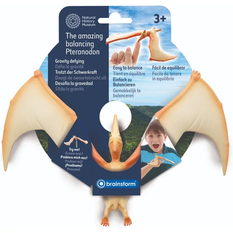 Natural History Museum The Amazing Balancing Pteranodon