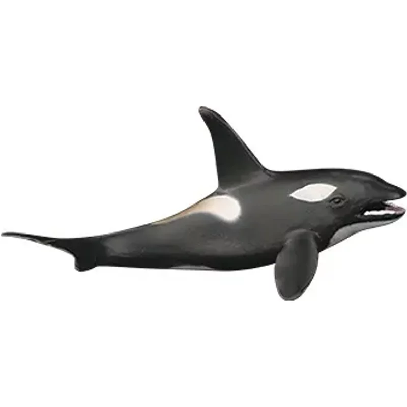 Aquatic World Pack (5 Pcs)