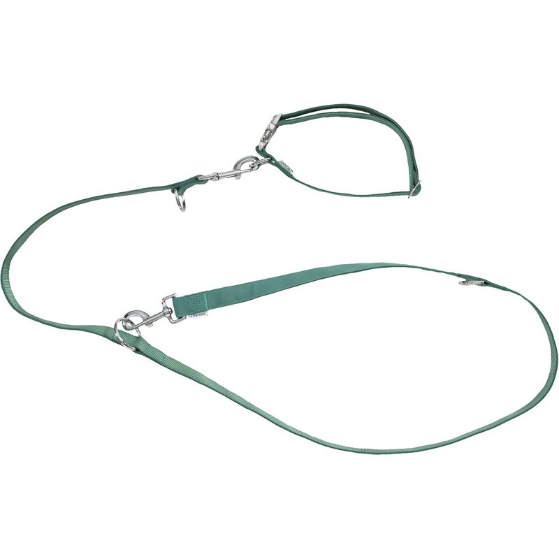 zoofari® Collier et laisse pour chiens (vert, L)