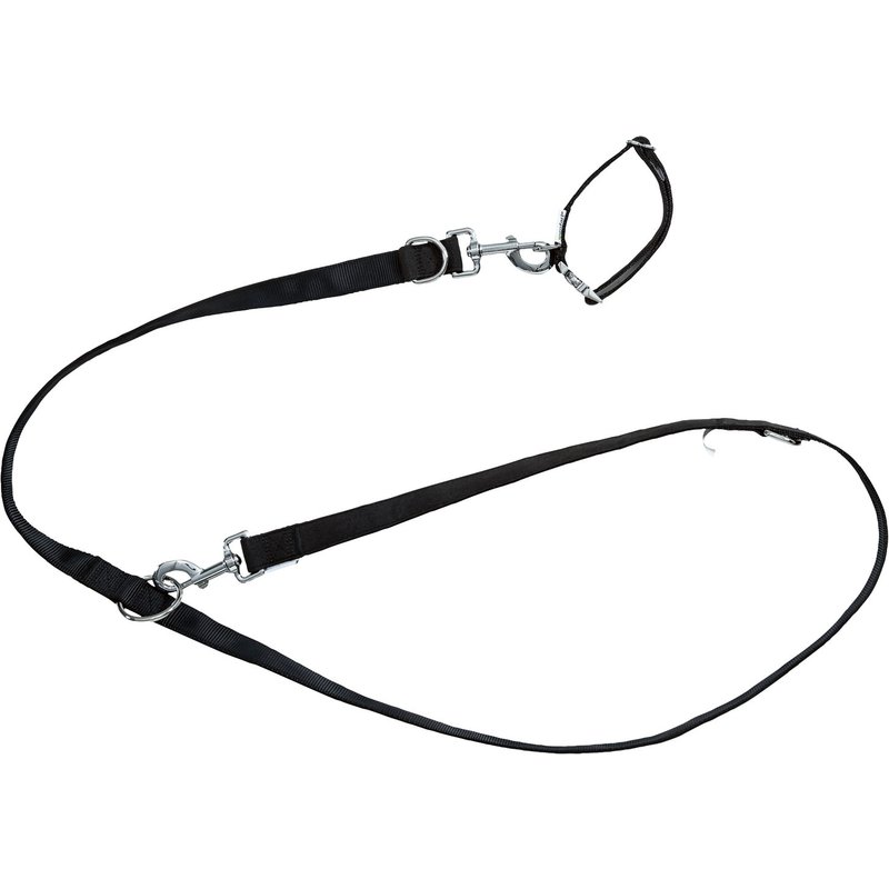 zoofari® Collier et laisse pour chiens (noir, L)
