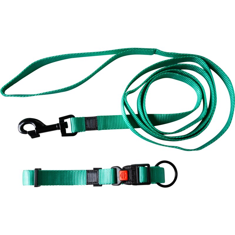 Karlie Collier et laisse pour chien (menthe)