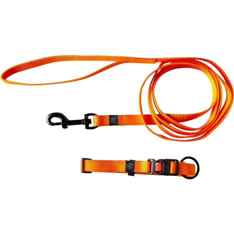 Karlie Collier avec laisse (orange)