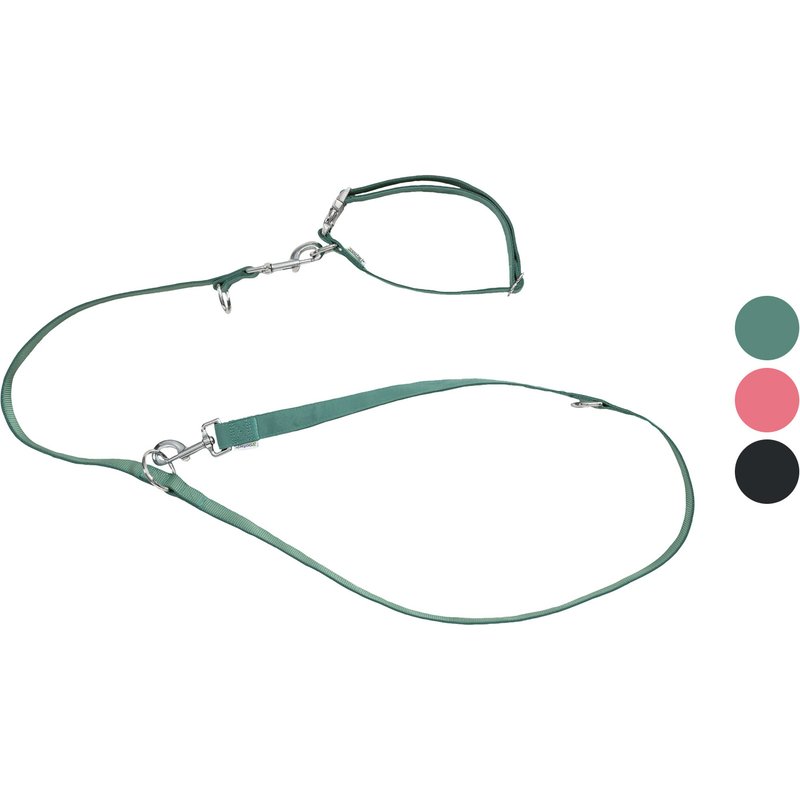 zoofari® Collier et laisse pour chiens